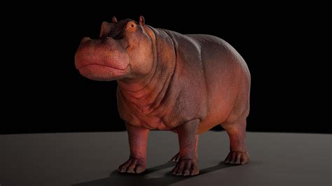 swcup6.xom|sculpt download.